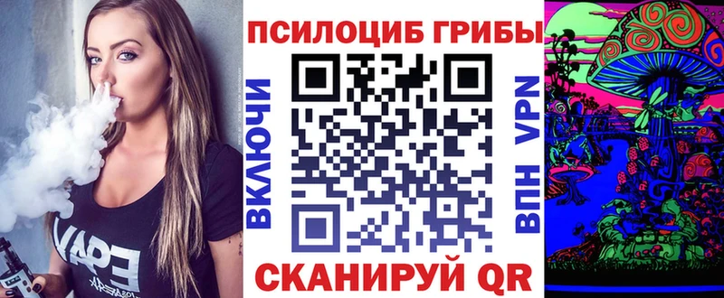 где продают наркотики  Осташков  Галлюциногенные грибы Psilocybine cubensis 
